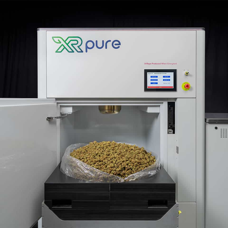 XRpure Cannabis Decontamination Machine with open door with Cannabis Buds
