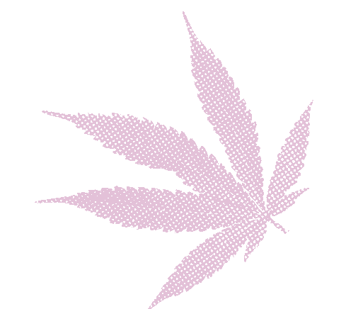 cannabis leaf in pink halftone