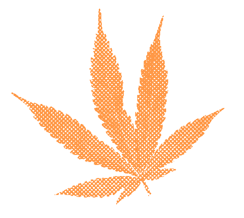 Orange Halftone Cannabis Leaf
